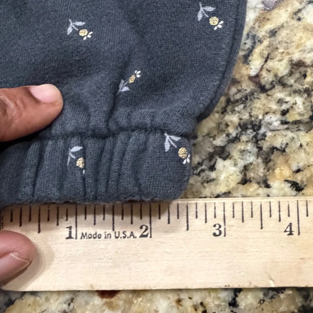Baby Gap Floral Cropped Hoodie and Jogger Set Gray Bear‎ Ears 6-12 Months